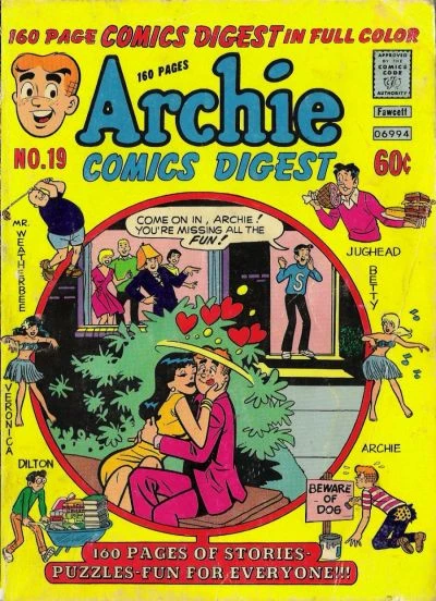 Cover of Issue #19