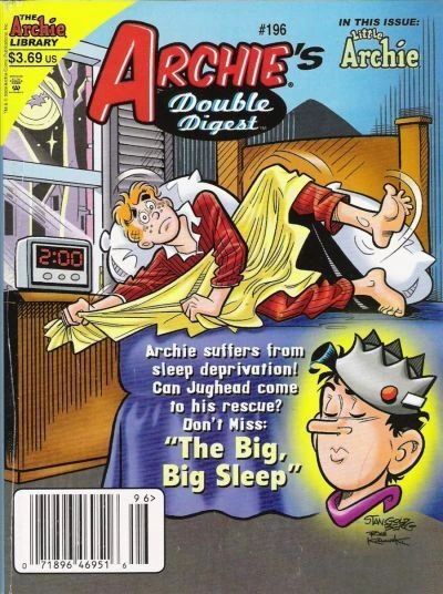 Cover of The Big Big Sleep