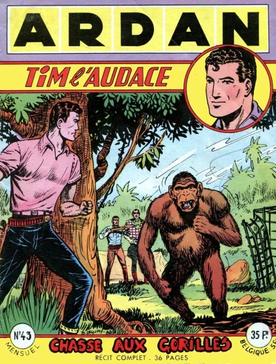 Cover of Chasse aux gorilles
