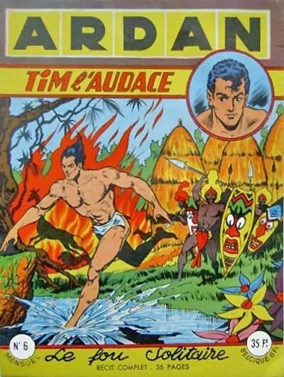 Cover of Le fou solitaire