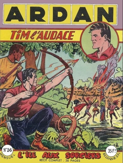 Cover of L'île aux sorciers