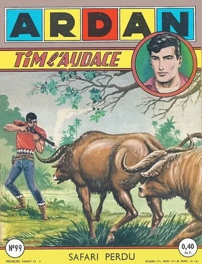 Cover of Safari perdu