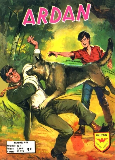 Cover of Yann cherche les voleurs