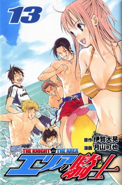 Cover of Volume 13