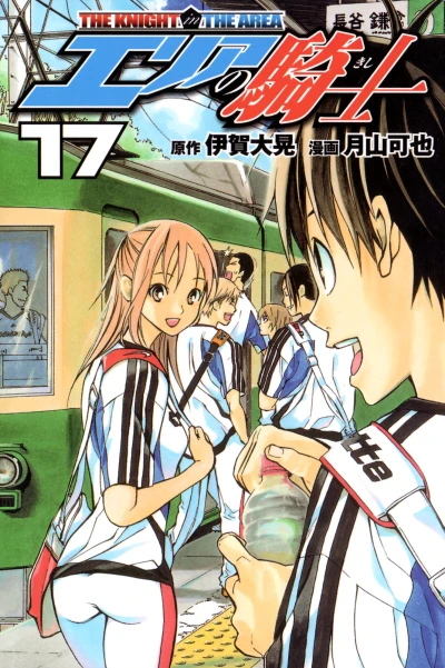 Cover of Volume 17