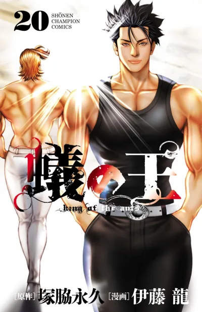 Cover of Vol. 20
