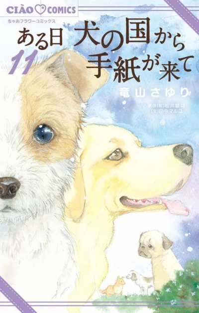 Cover of Vol. 11