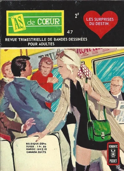 Cover of Les Surprises du Destin