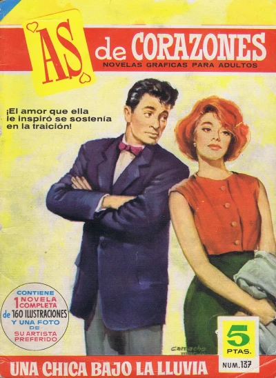 Cover of Una chica bajo la lluvia