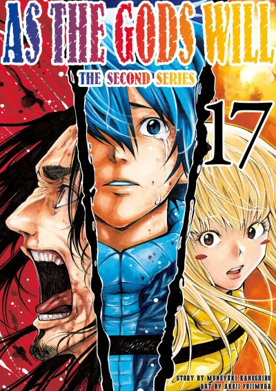 Cover of Volume 17