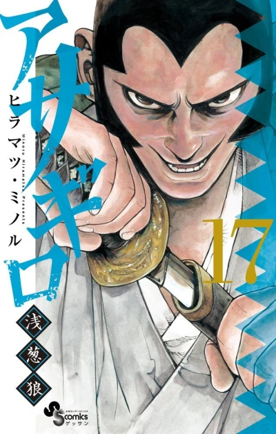 Cover of Vol. 17