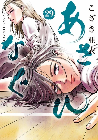 Cover of Vol. 29