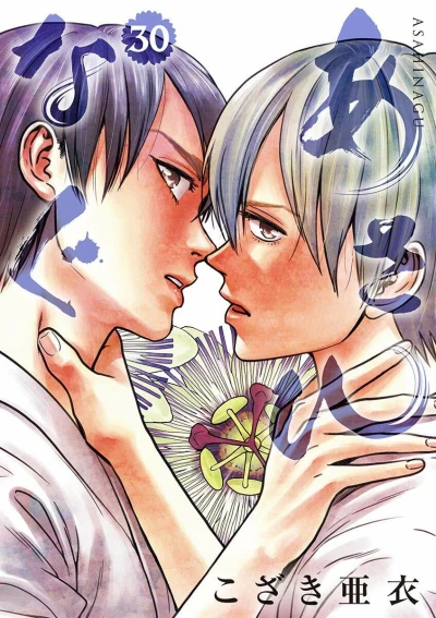 Cover of Vol. 30