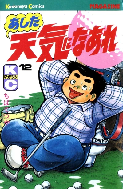 Cover of Vol. 12