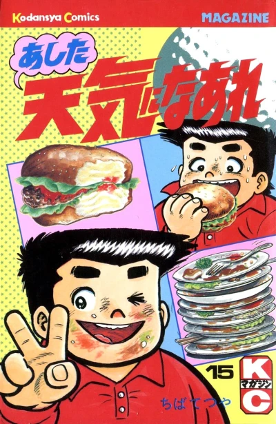 Cover of Vol. 15