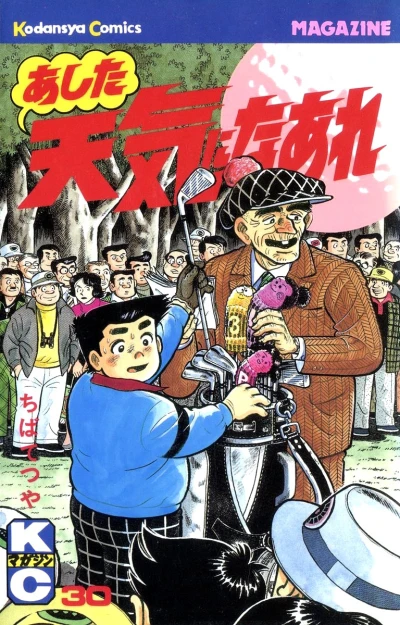 Cover of Vol. 30