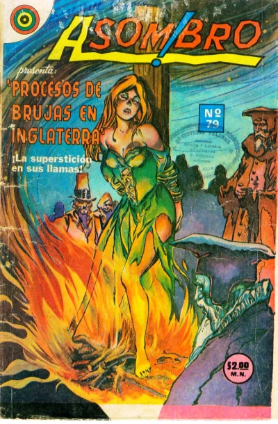 Cover of Issue #79