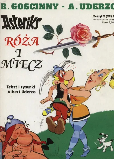 Cover of Róża i miecz
