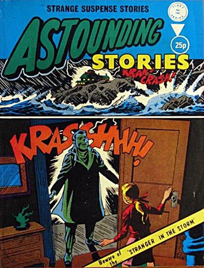 Cover of Stranger in the Storm