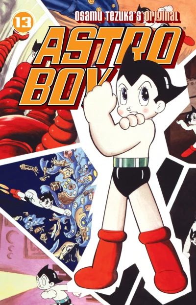 Cover of Vol. 13