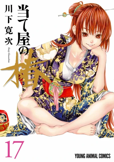 Cover of Volume 17