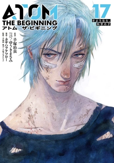 Cover of Vol. 17
