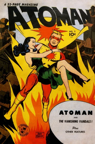 Cover of The Vanishing Vandals