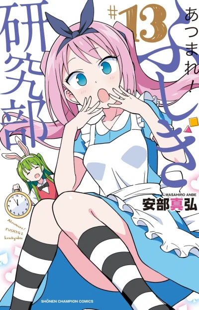 Cover of Vol. 13