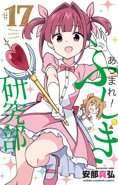 Cover of Vol. 17