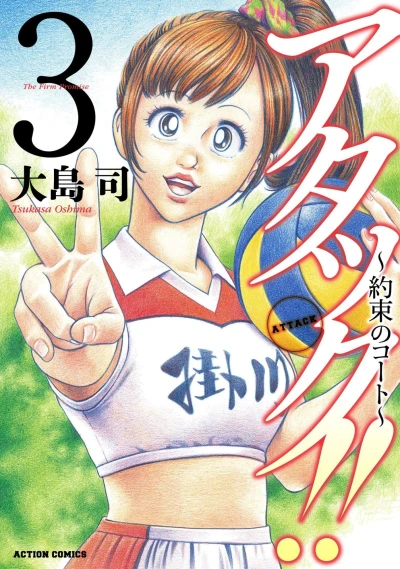 Cover of Vol. 3