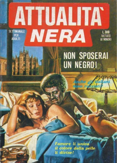 Cover of Non sposerai un negro