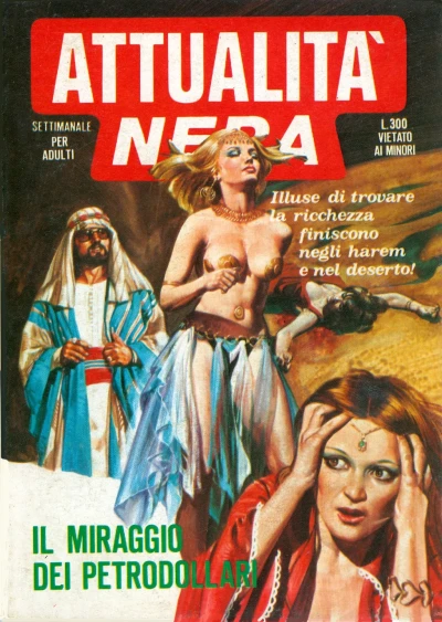 Cover of Il miraggio dei petroldollari