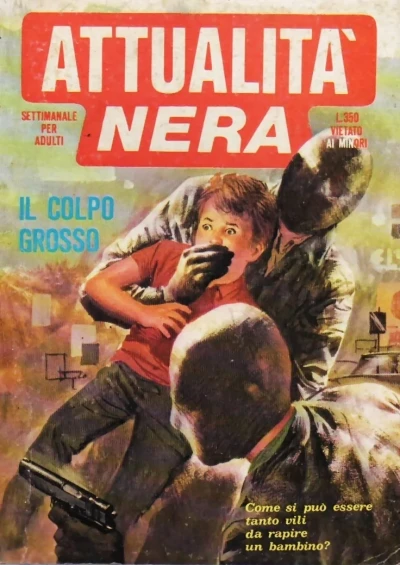 Cover of Il colpo grosso