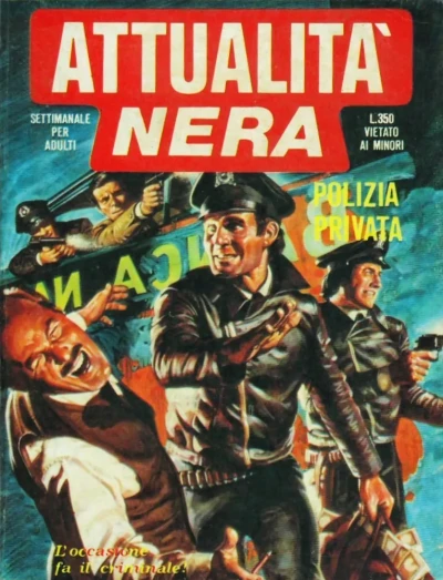 Cover of Polizia privata