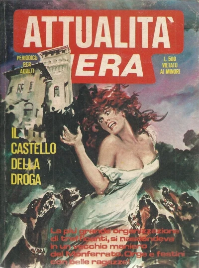 Cover of Il castello della droga