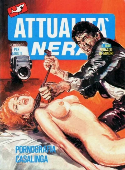 Cover of Pornografia casalinga