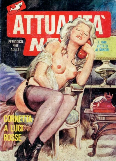 Cover of Cornetta a luci rosse