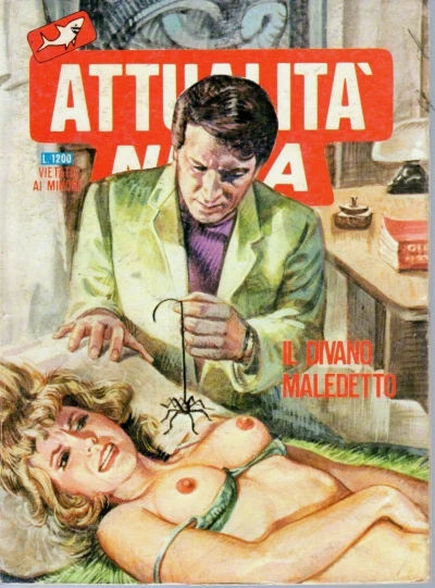 Cover of Il divano maledetto