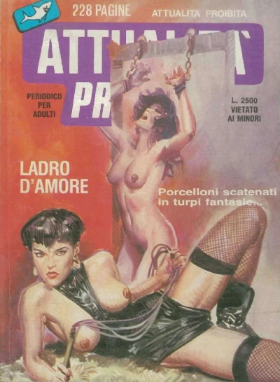 Cover of Issue #II/13