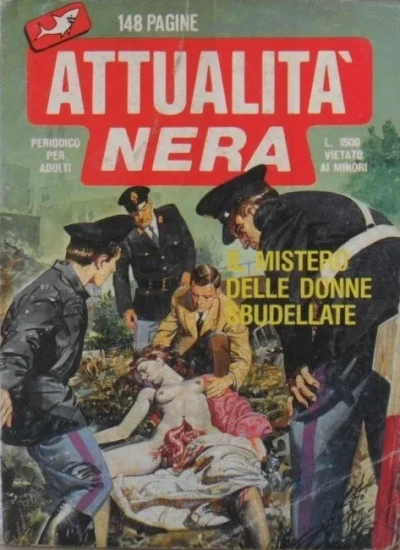 Cover of Il mistero delle donne sbudellate