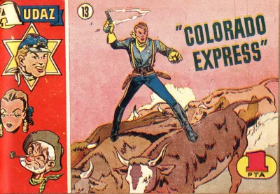 Cover of Issue #13