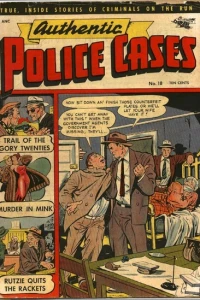 Authentic Police Cases