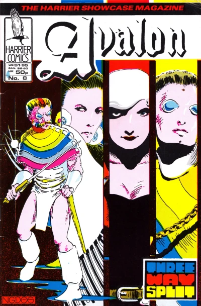 Cover of Issue #8