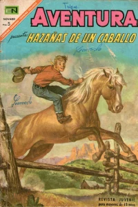 Hazanas de un Caballero