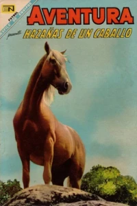 Hazanas de un Caballo