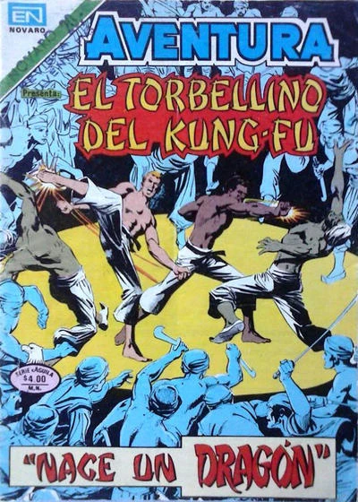Cover of El Torbellino del Kung-Fu
