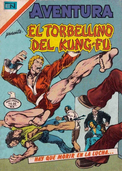 Cover of El Torbellino del Kung-Fu