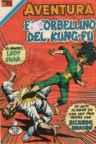 Cover of El Torbellino del Kung-Fu