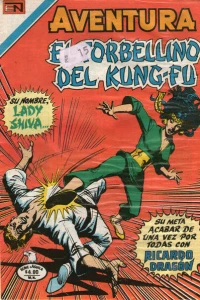 El Torbellino del Kung-Fu