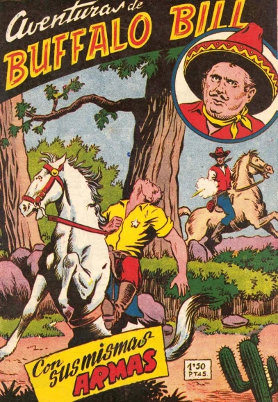 Cover of Issue #13